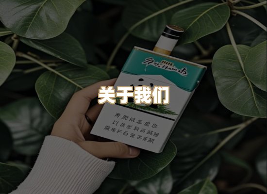 关于蓝帝网